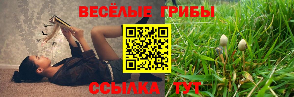 Галлюциногенные грибы GOLDEN TEACHER Тайшет