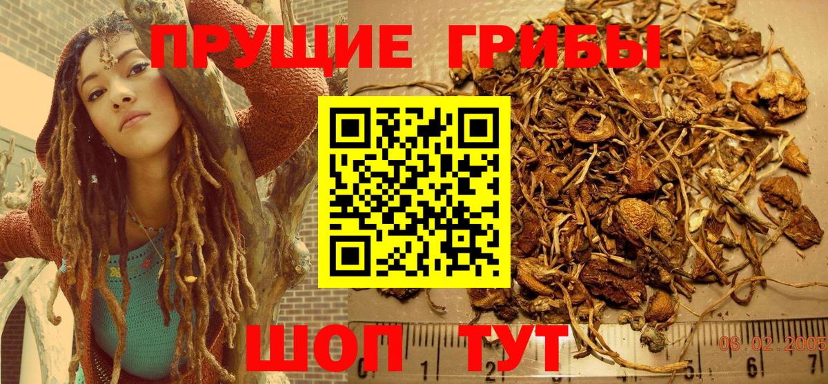Тайшет  Псилоцибиновые грибы Magic Shrooms  Вход с VPN  Галлюциногенные грибы мухоморы 